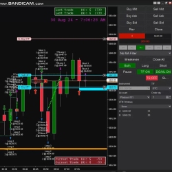 AuctionBOT®